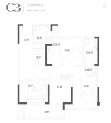 沿线政经、资本、人文、生态等